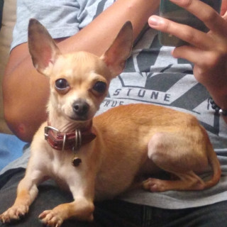 Foto de LILI