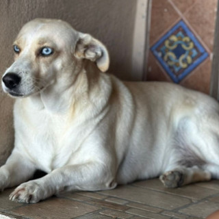 Foto de HÉRCULES