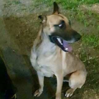 Foto de 