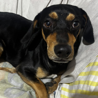 Foto de 