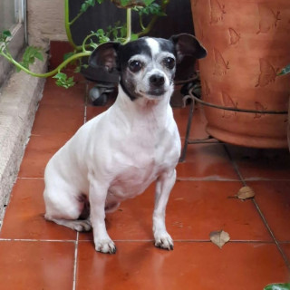 Foto de 