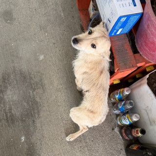 Foto de 