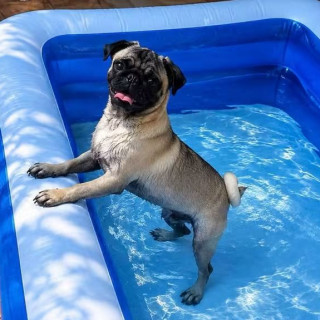 Foto de FRANCK