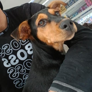 Foto de NEGRA