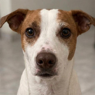 Foto de MAX