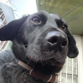 Foto de 