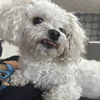 Foto de BEBÉ