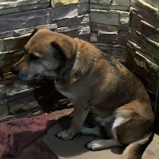 Foto de KIARA