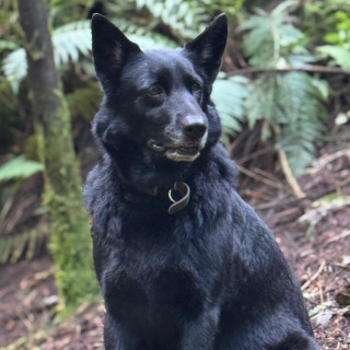 Foto de CHALA