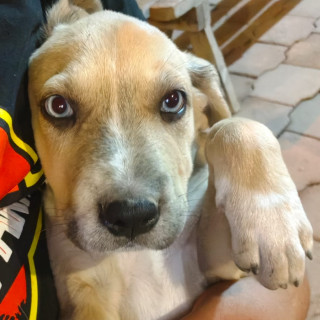 Foto de MOKA