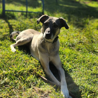 Foto de CAMILA