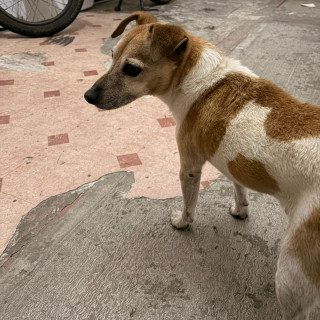 Foto de 