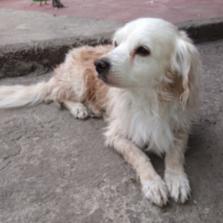 Foto de PELUCHE (VIEJITO Y CIEGO)