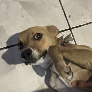 Foto de 