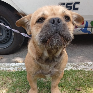 Foto de 