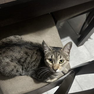 Foto de PACO O PAQUITO