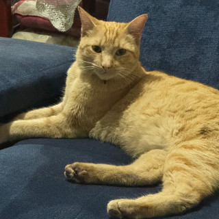 Foto de NACHITO