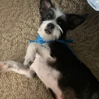 Foto de JUNIOR