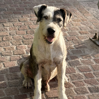 Foto de 