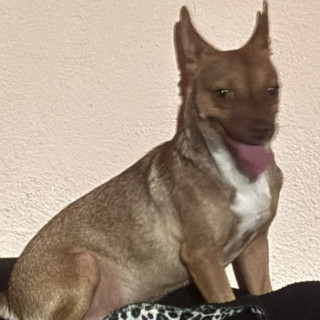 Foto de 