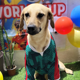 Foto de MAX