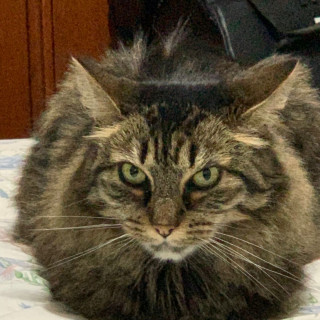 Foto de EMMA