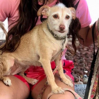 Foto de LULI