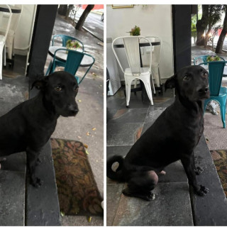 Foto de 
