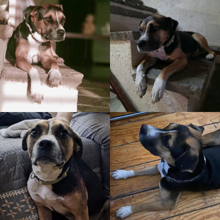 Foto de GULLIVER
