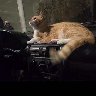 Foto de 