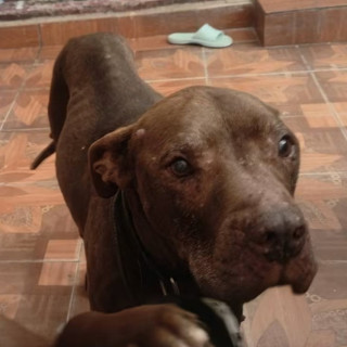 Foto de TRUCO