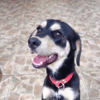 Foto de DANTE