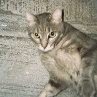 Foto de 