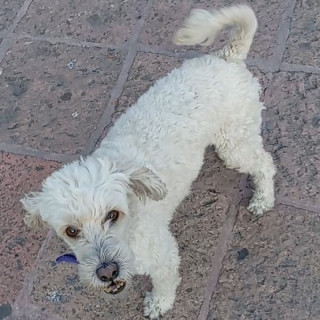 Foto de SUKY