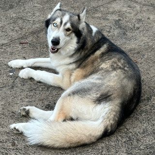Foto de ZEUS