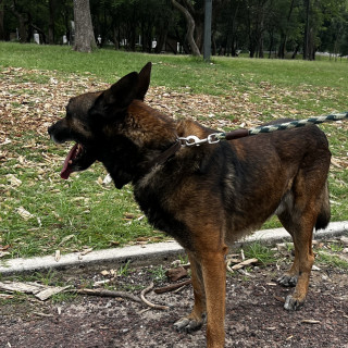 Foto de 