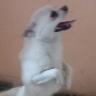 Foto de 