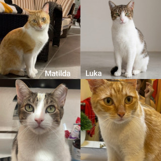 Foto de MATILDA Y LUKA