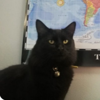 Foto de OBESITO