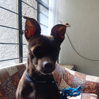 Foto de 