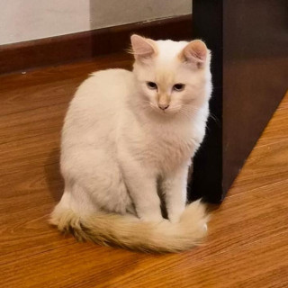 Foto de IRIS JOSÉ ROBERTO