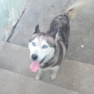 Foto de 