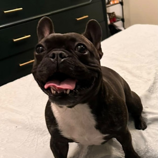 Foto de MOLLETE
