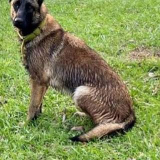 Foto de 