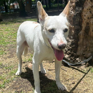 Foto de 