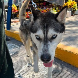 Foto de 