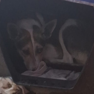 Foto de 