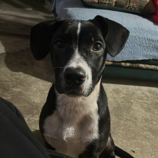 Foto de MAX