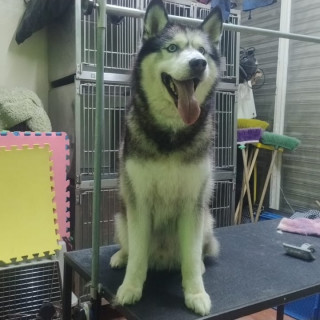 Foto de 