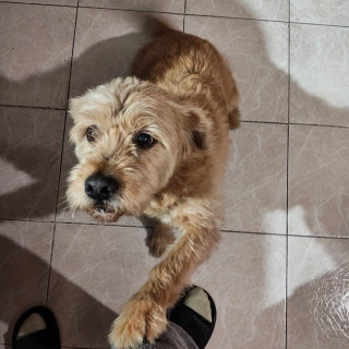 Foto de CANDY